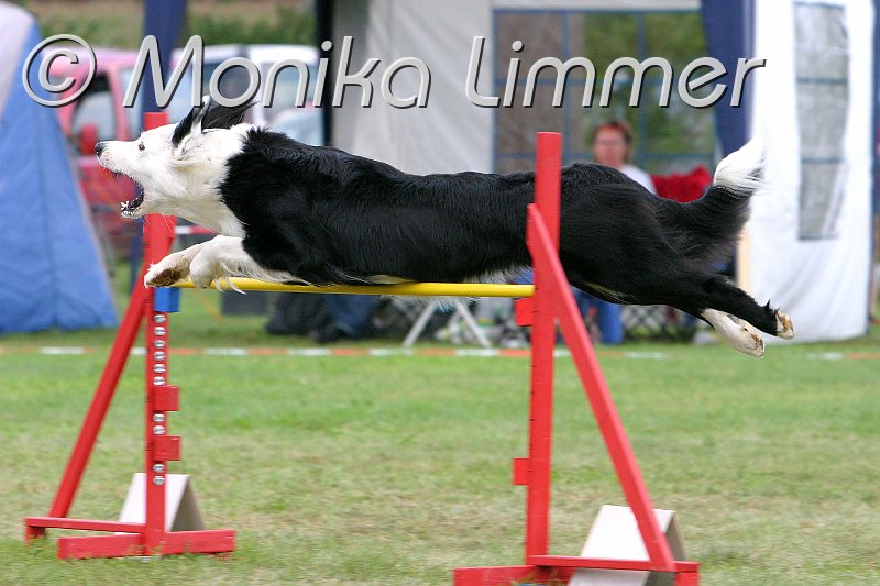 548_4896_entw_Kanuer Jana.jpg